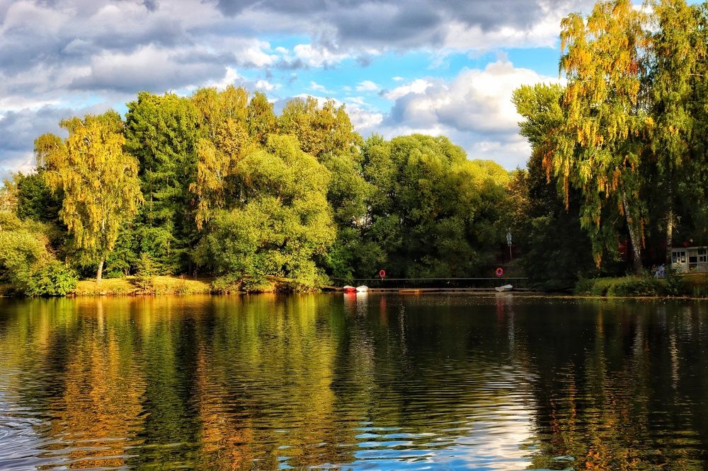 Photograph by Ирина Новицкая