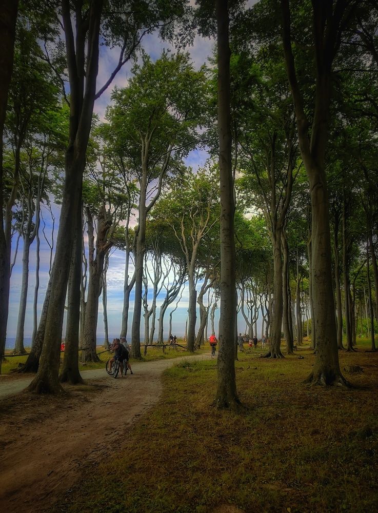 Photograph by Павел Куренбин