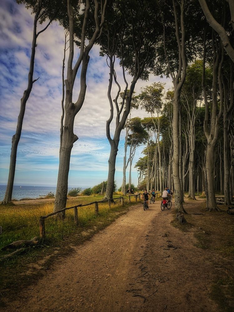 Photograph by Павел Куренбин