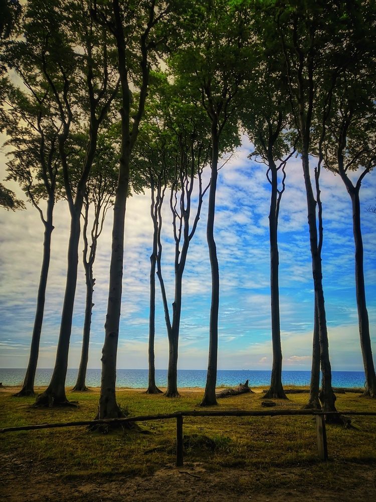 Photograph by Павел Куренбин