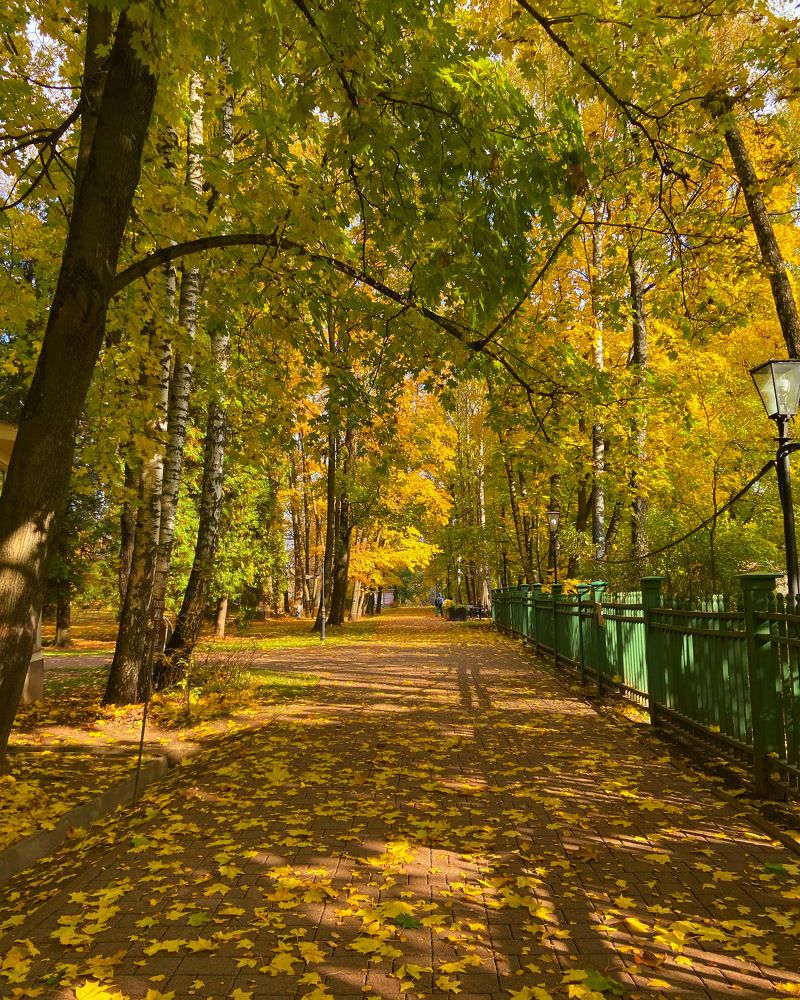 Photograph by Карина