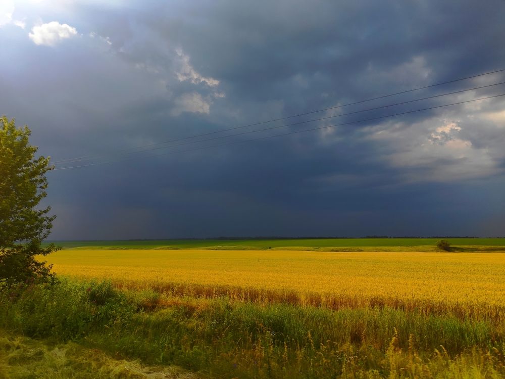 Photograph by Сидорова Ирина