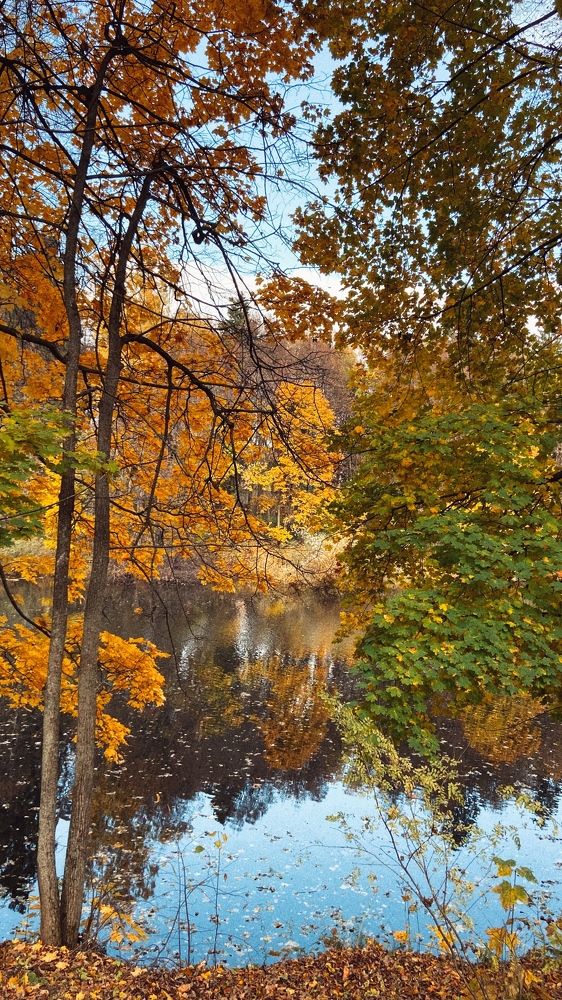 Photograph by Карина