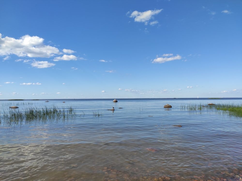 Photograph by Сидорова Ирина