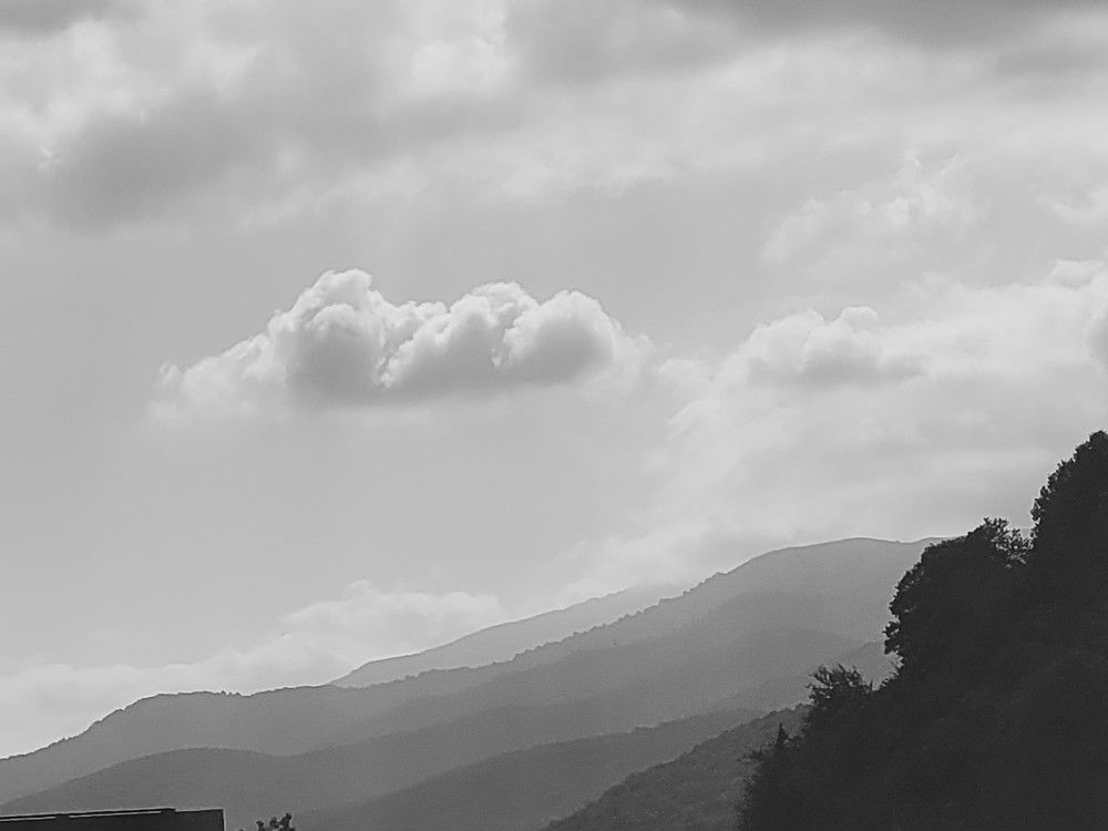 Photograph by Rahele Almassi