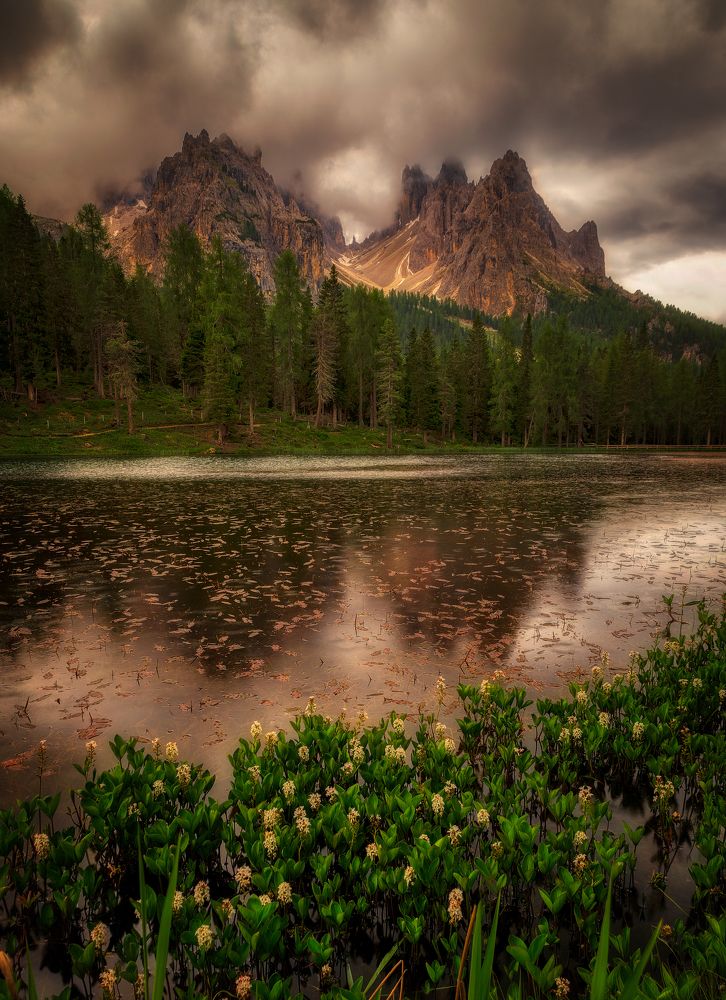 Photograph by Alain Veldin