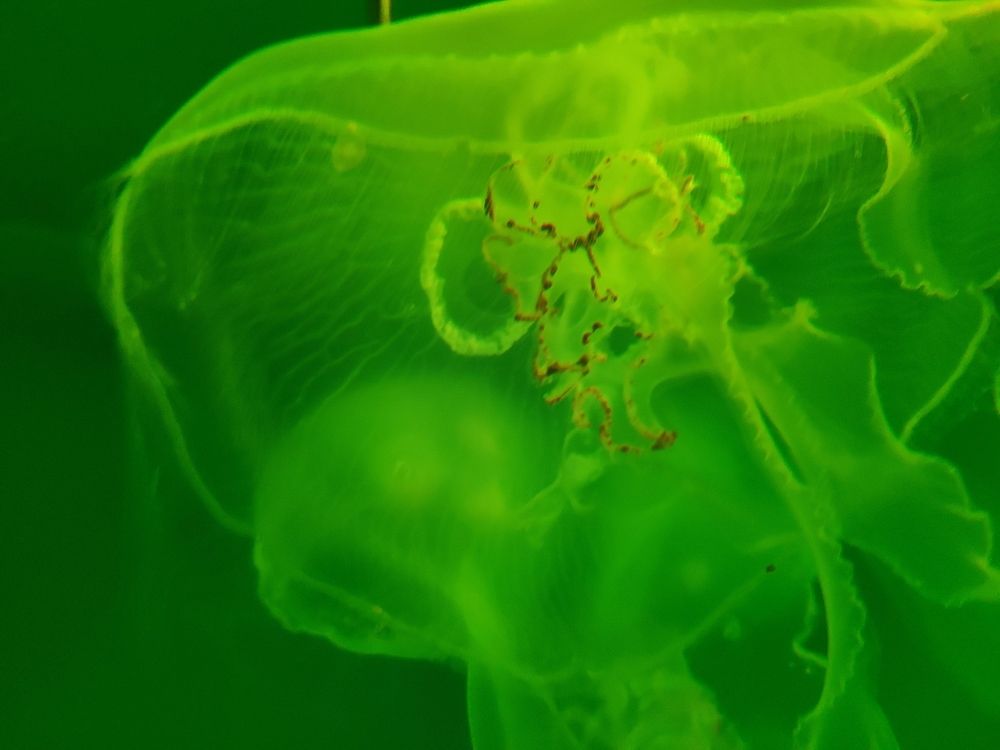 Photograph by Сидорова Ирина