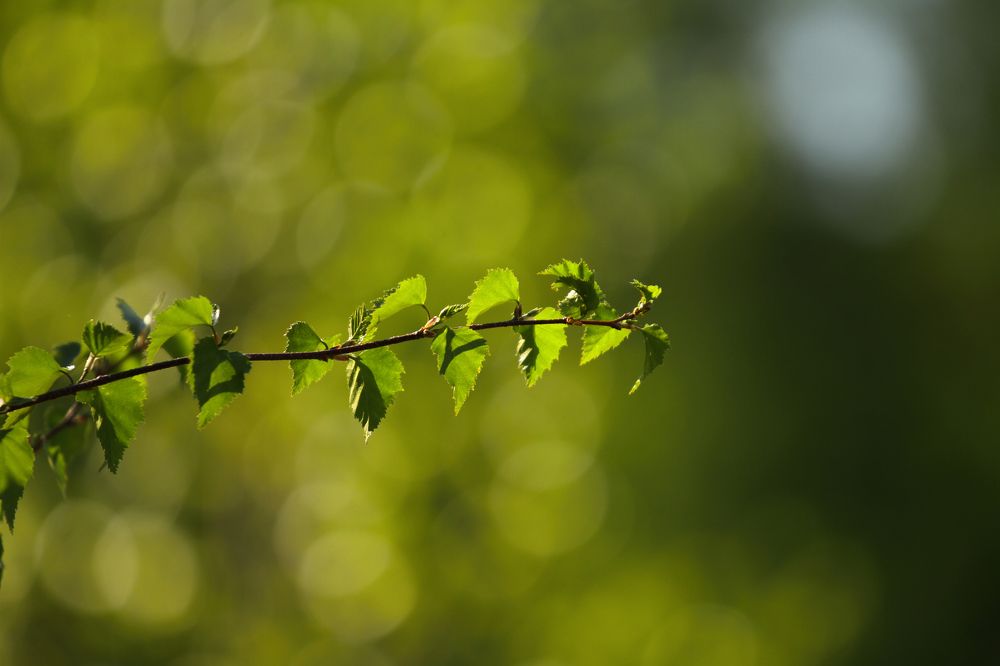 Photograph by Aleksey Maevskiy