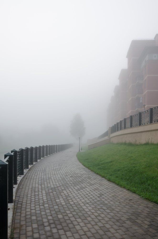 Photograph by Марина Жиделева