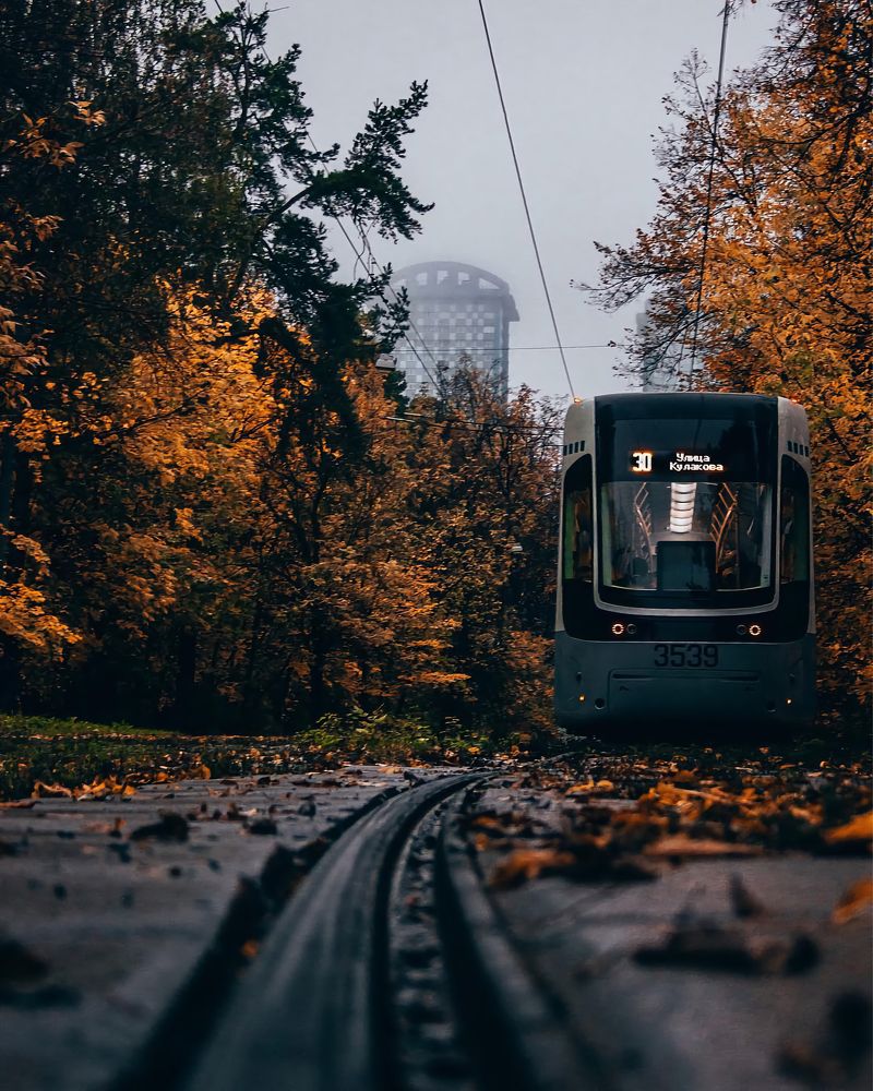 Photograph by Сергей Добрин