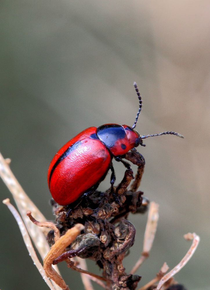 Photograph by Юрий Варюхин