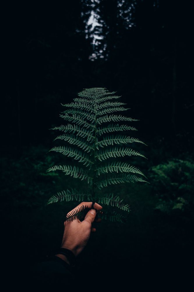 Photograph by Сергей Добрин