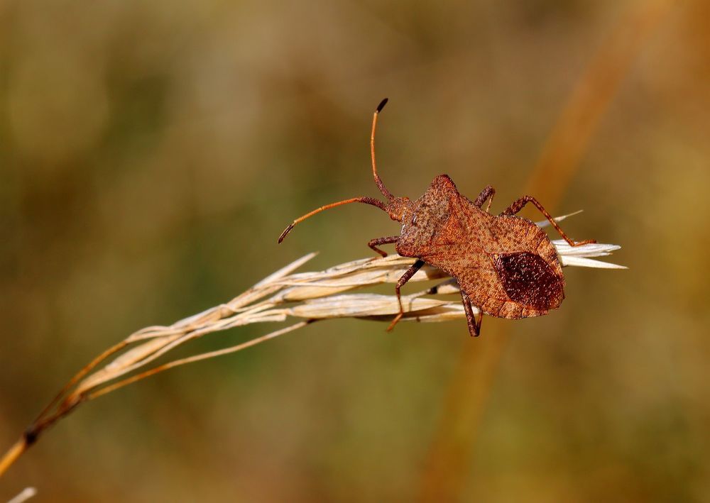 Photograph by Юрий Варюхин