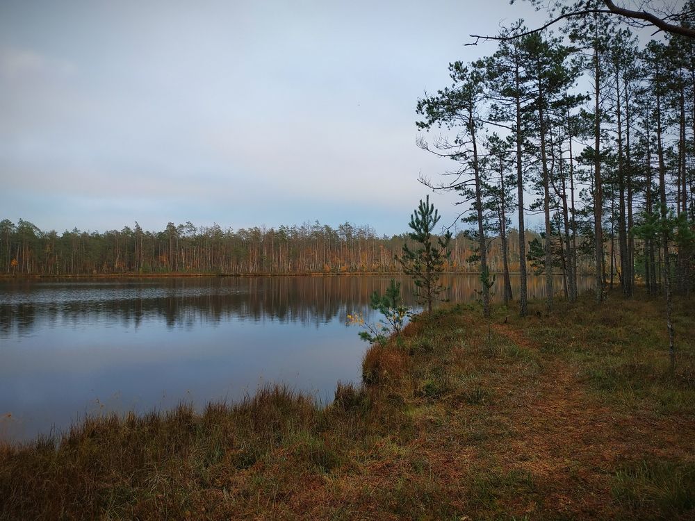 Photograph by Анастасия Кулешевич