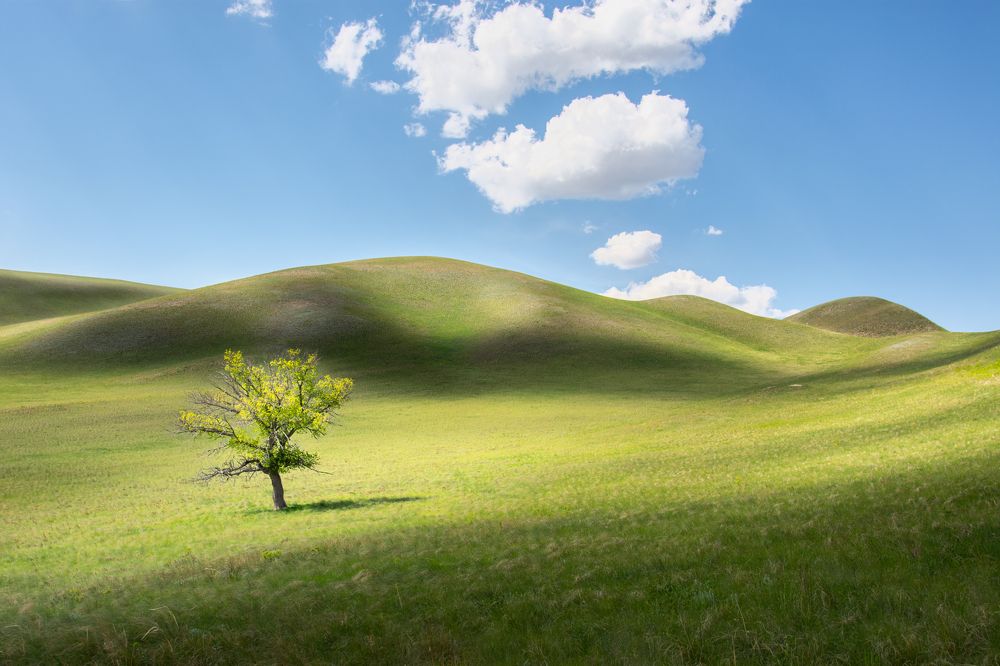 Фотография автора Евгений Иванов