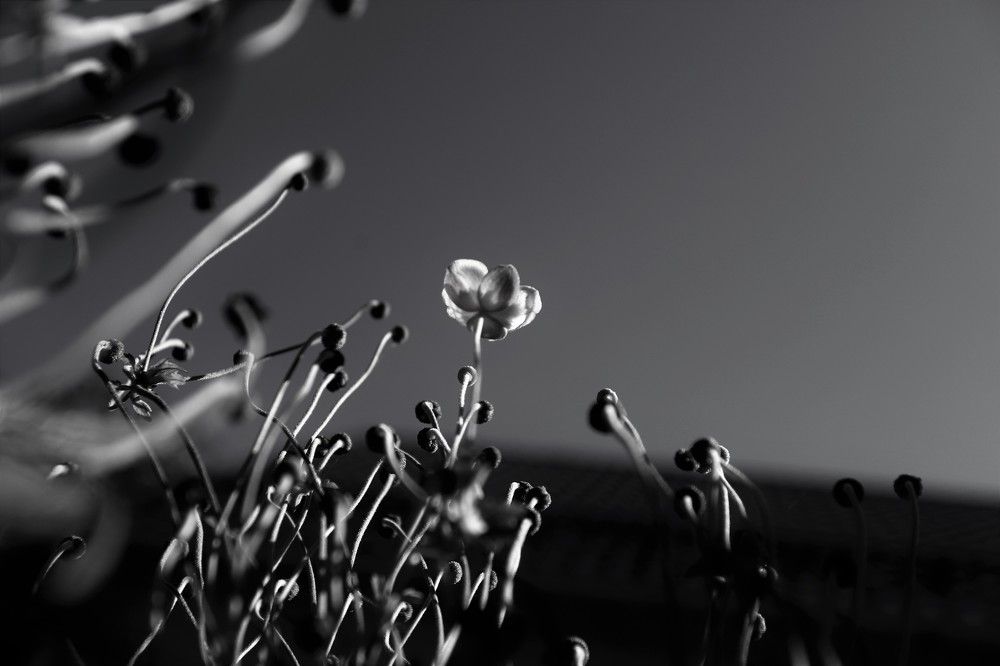 Photograph by Максимушкина Ольга