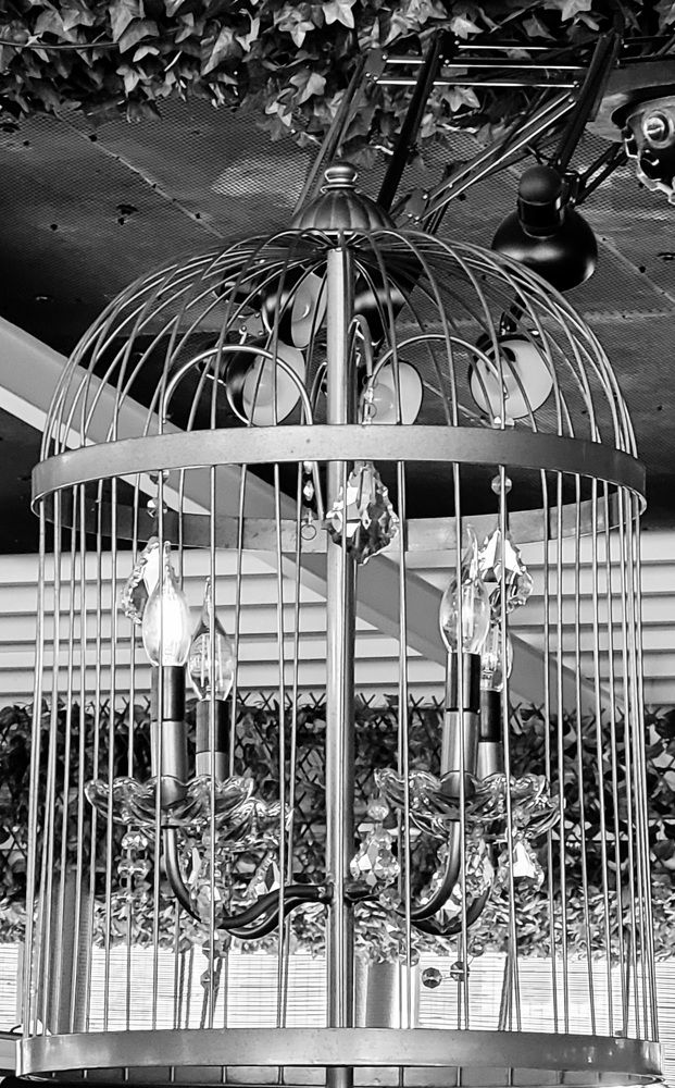 Photograph by Rahele Almassi