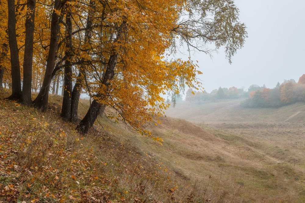 Фотография автора Мартыненко Дмитрий