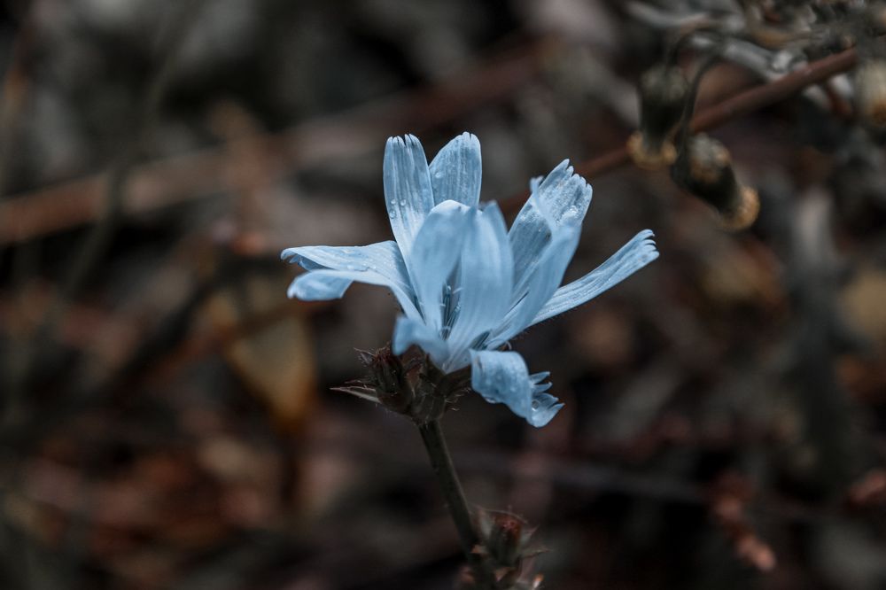 Photograph by Анна Александровна