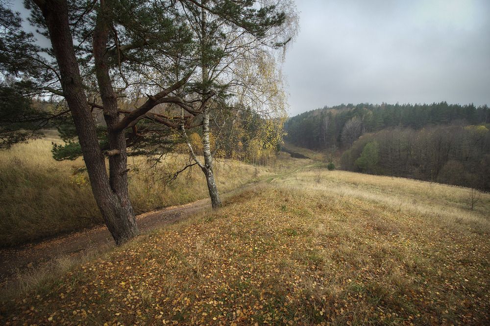 Photograph by Павел Дунюшкин