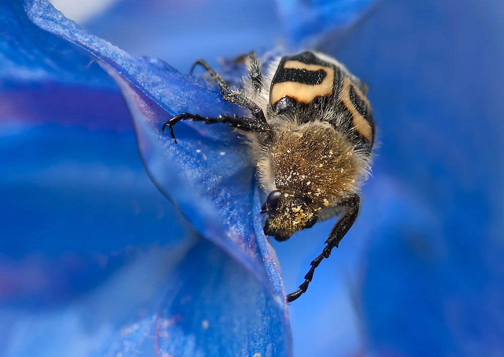 Photograph by Олег Тыркин