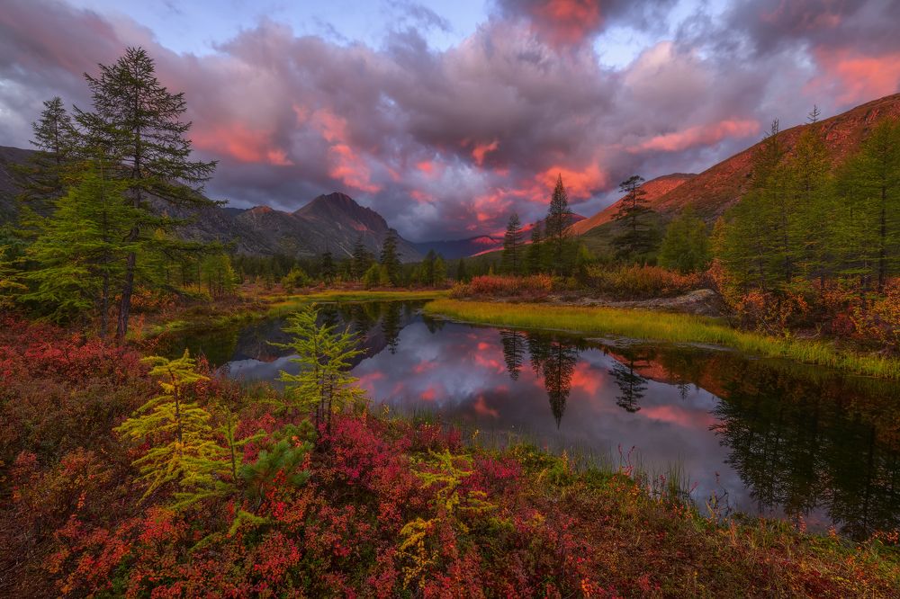 Photograph by Евдокимов Максим