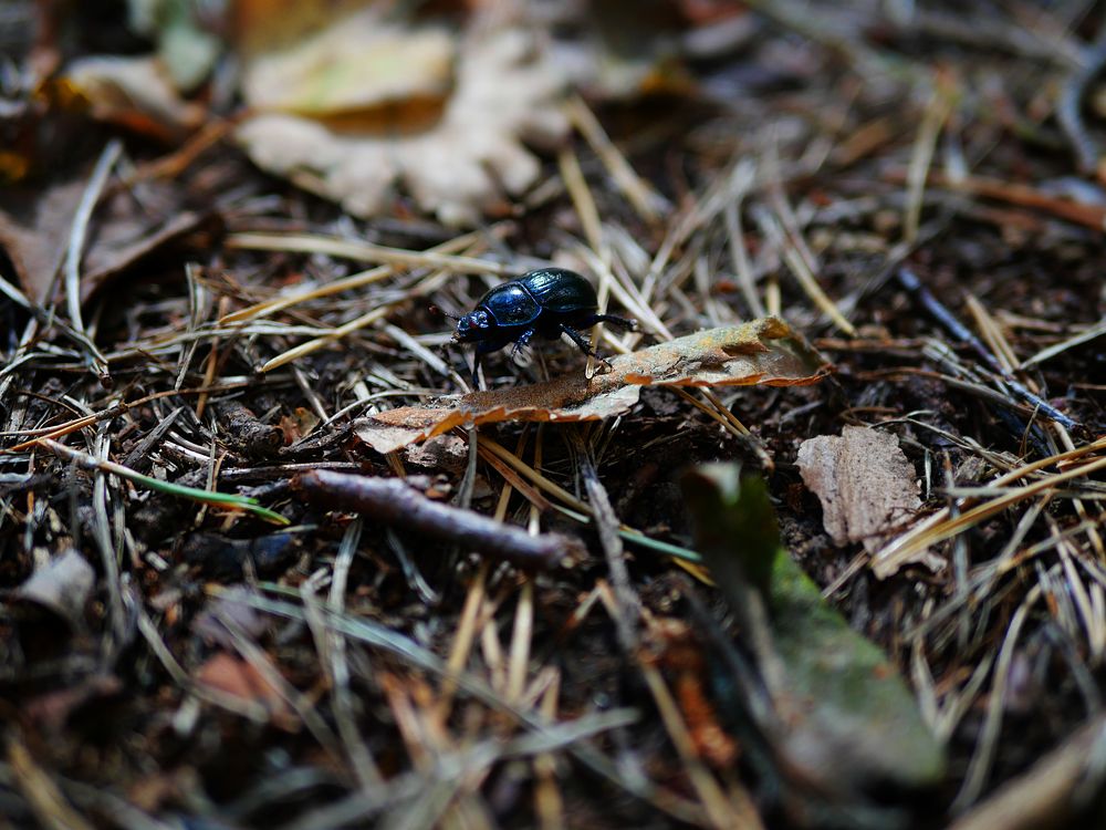 Photograph by Серафима Силина