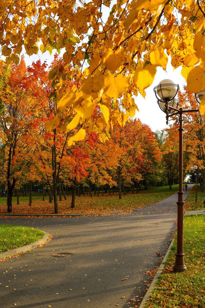 Photograph by Валерий Патар