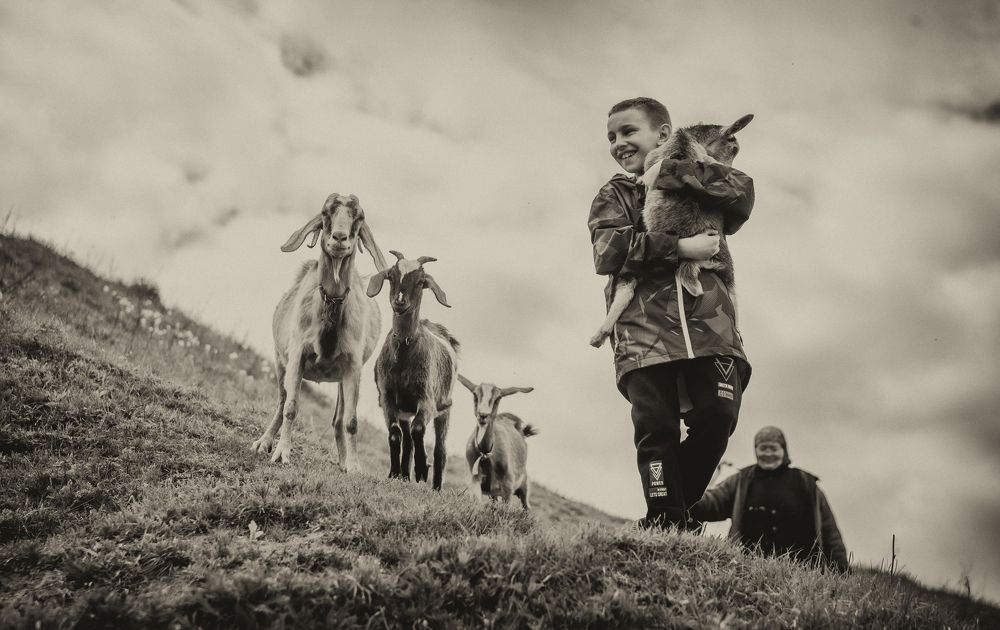 Фотография автора Виталий Подгурченко