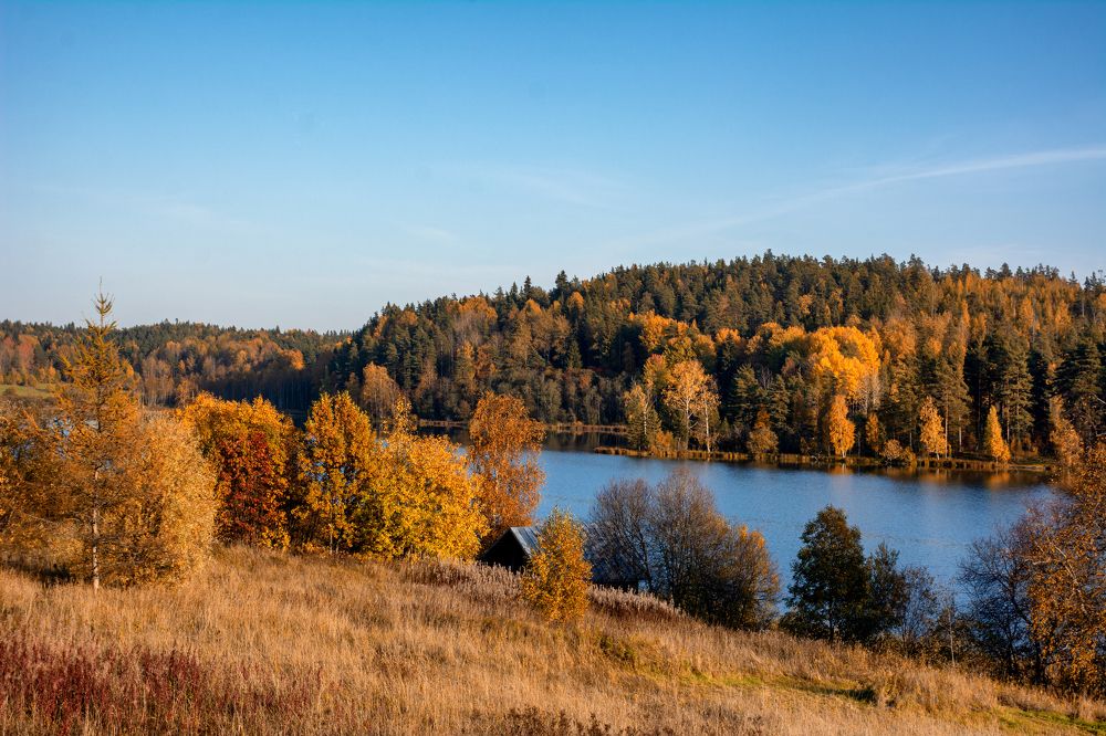 Photograph by Светлана Ващенко