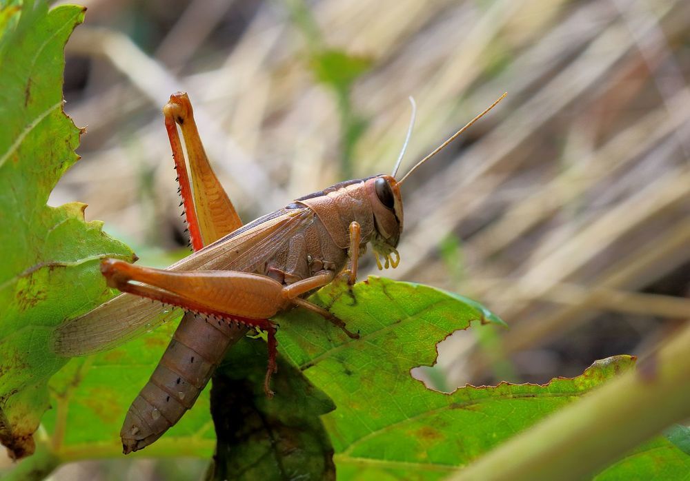Photograph by Юрий Варюхин