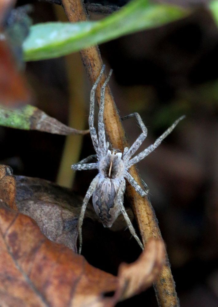 Photograph by Юрий Варюхин