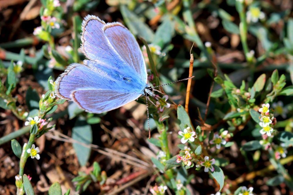 Photograph by Юрий Варюхин