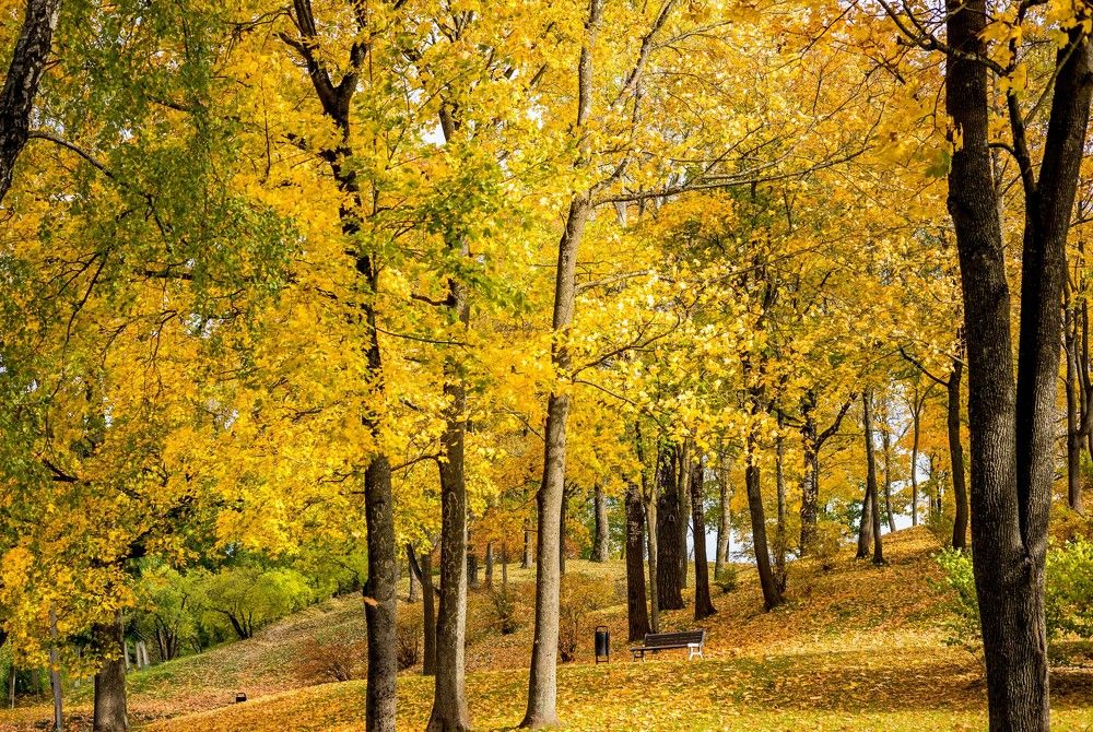 Photograph by GAĻINA GRIŠKOVA