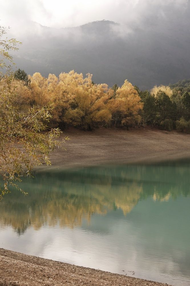 Photograph by Александр Пузан