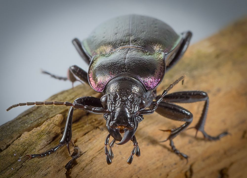 Photograph by Александр Спиридонов