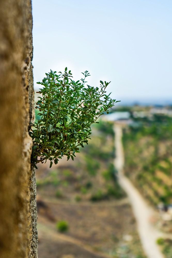 Photograph by Светлана Городилова