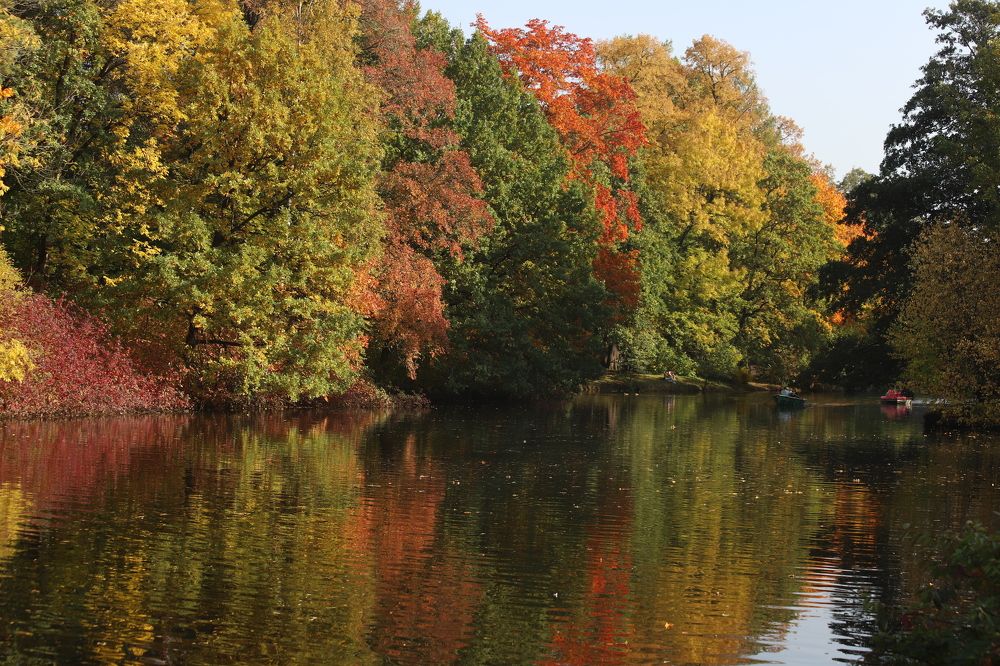 Photograph by елена