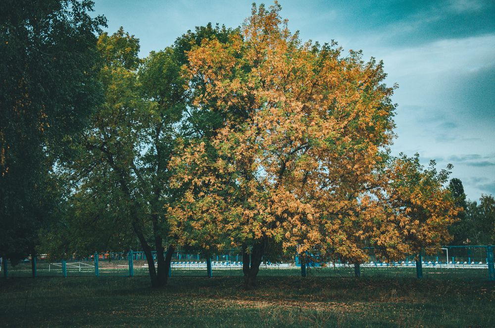 Photograph by Виталий Дрынов