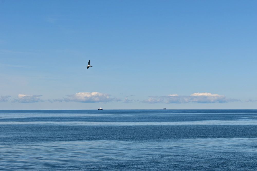 Балтика. Все оттенки синего