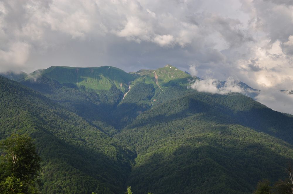 Photograph by Юлия Козельских