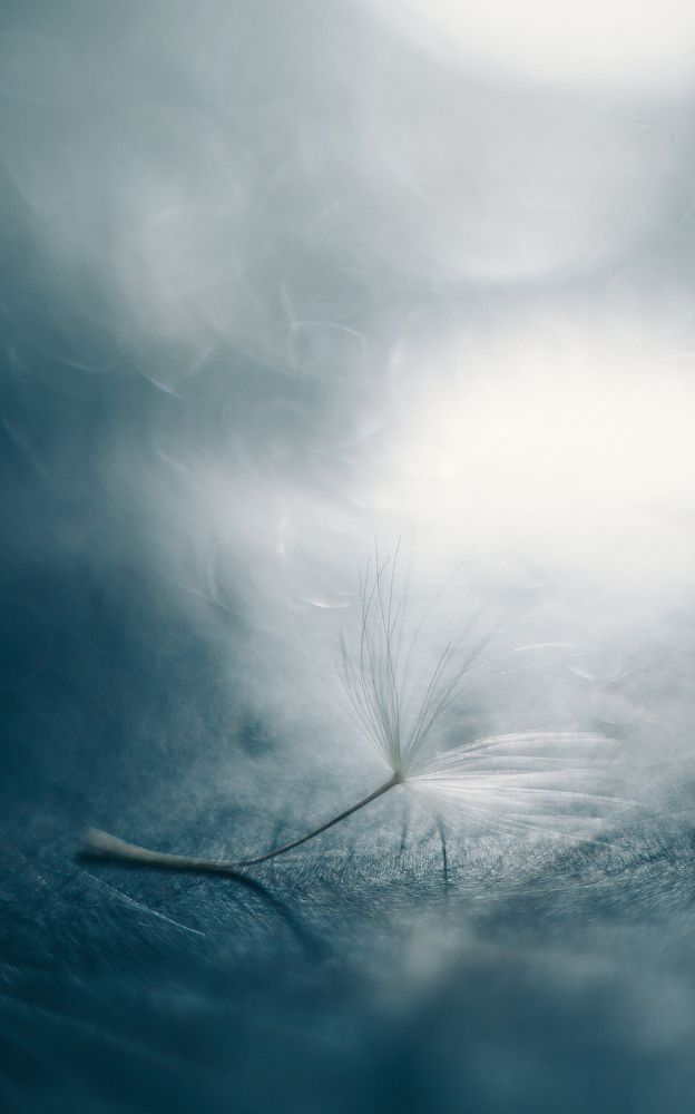 Фотография автора Ева Пухова