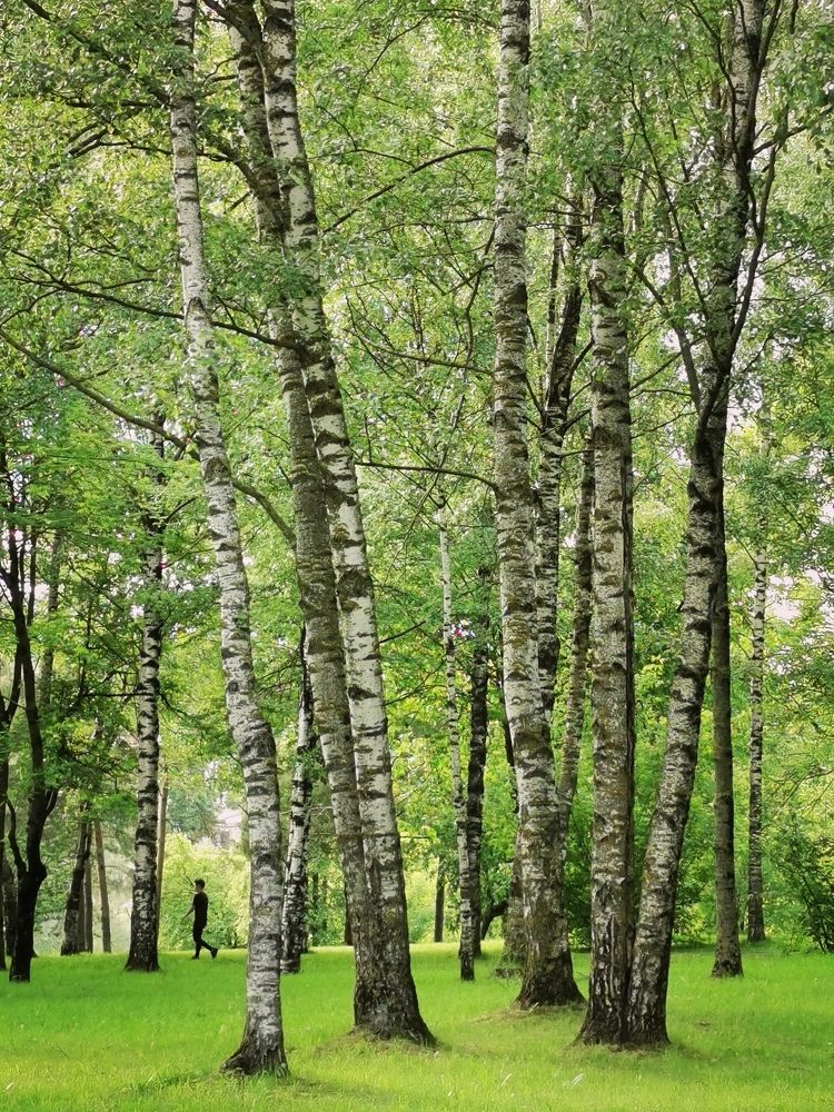 Photograph by Наталия Питолина