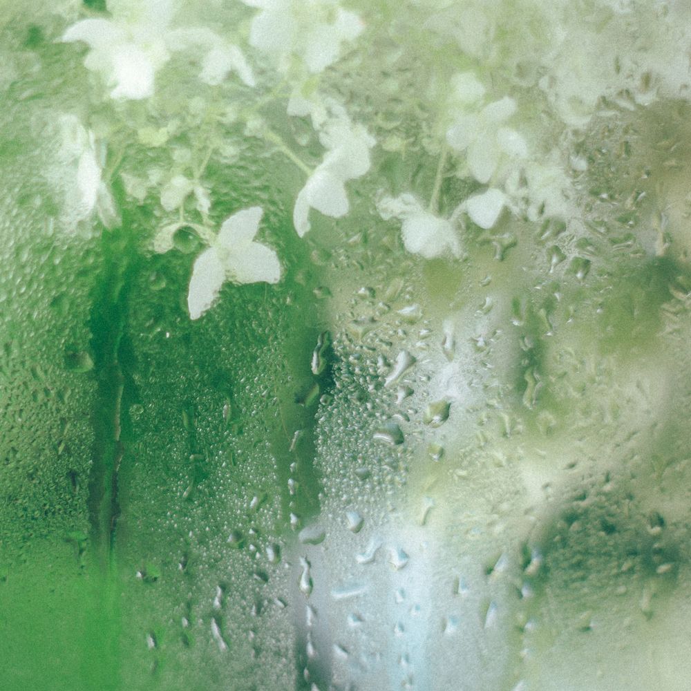 Фотография автора Ева Пухова