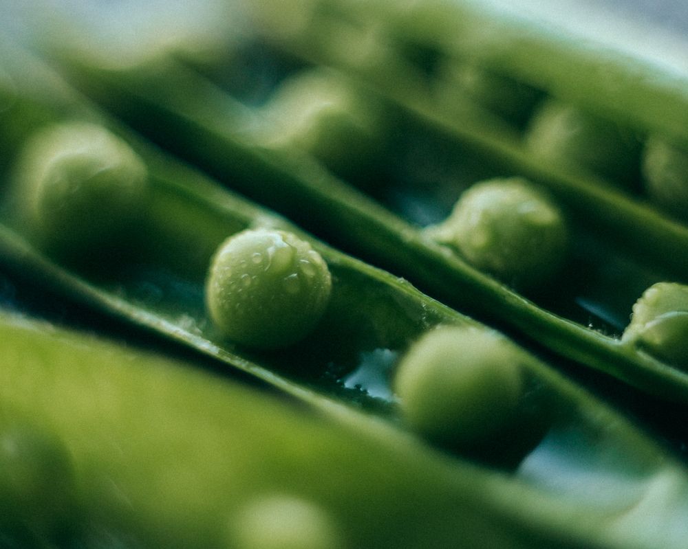 Фотография автора Ева Пухова