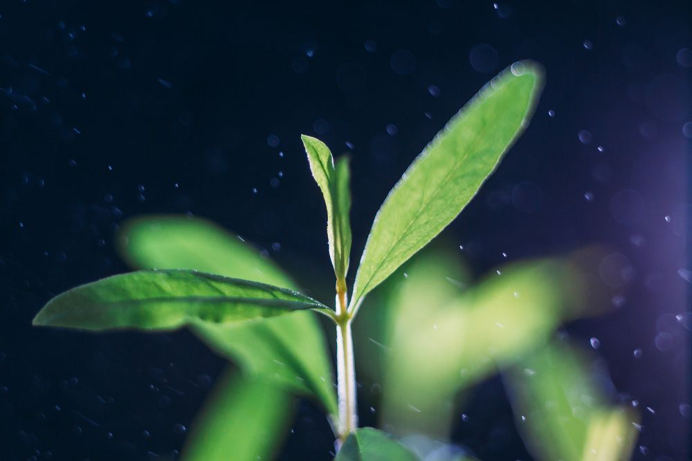 Фотография автора Ева Пухова