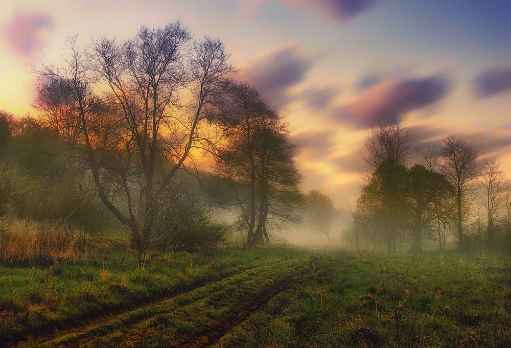 Сквозь туман