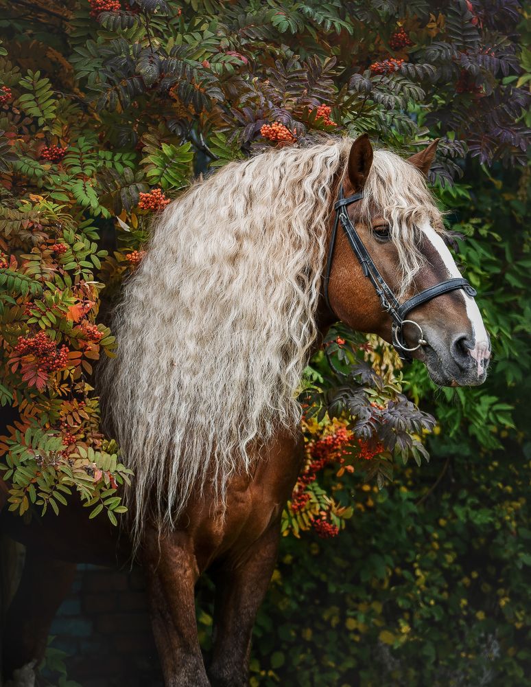 Photograph by Кристина Горковская