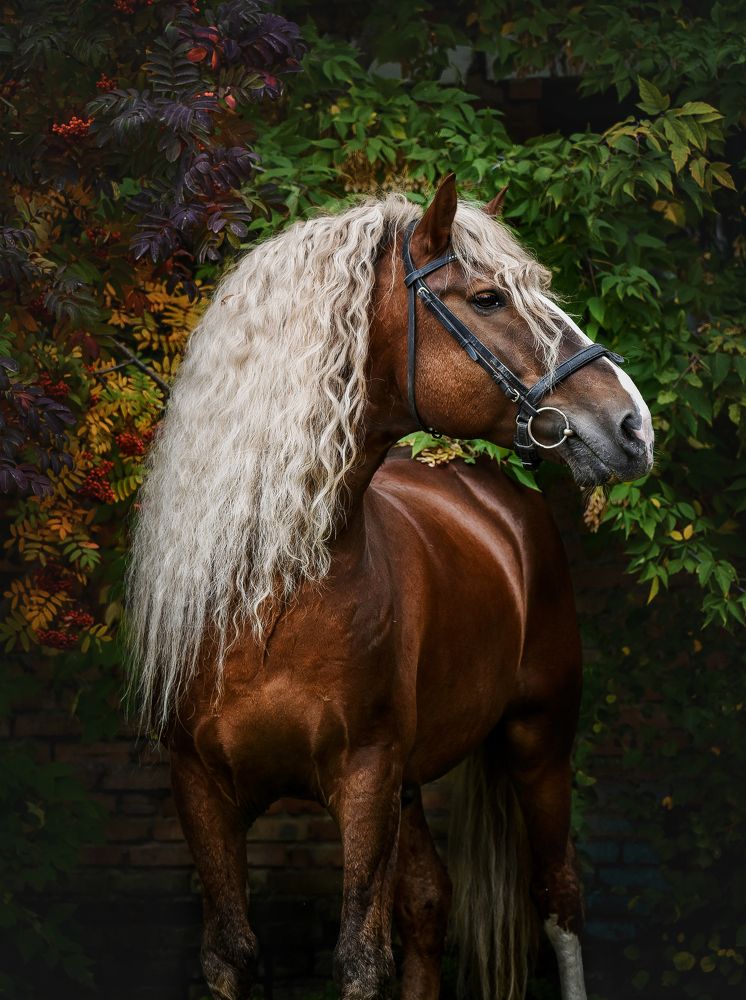 Photograph by Кристина Горковская