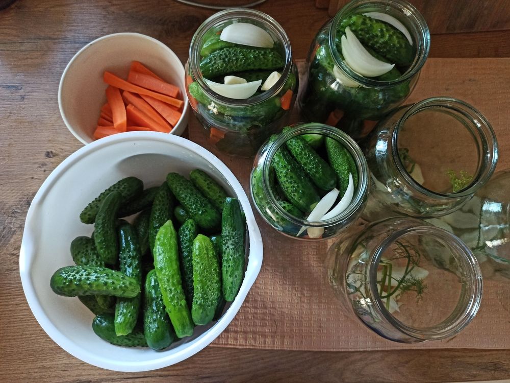 Photograph by Анастасия Кулешевич